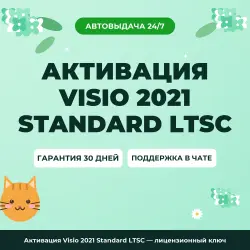 Активация Visio 2021 Standard LTSC — лицензионный ключ