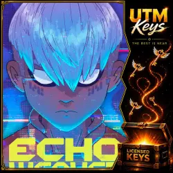 Echo Weaver ключ Steam(Россия+СНГ)