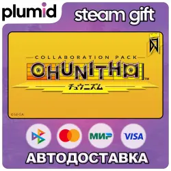 DLC DJMAX RESPECT V - CHUNITHM PACK Steam Gift / Россия + МИР / АВТО