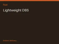 Lightweight DBS #560018729