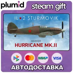 DLC IL-2 Sturmovik: Hurricane Mk.II Collector Plane Steam Gift / Россия + МИР / АВТО