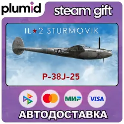 DLC IL-2 Sturmovik: P-38J-25 Collector Plane Steam Gift / Россия + МИР / АВТО