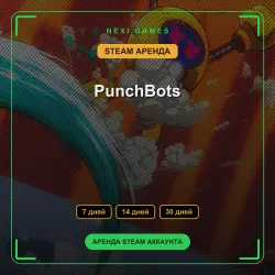 PunchBots | АРЕНДА 7/14/30 дней | STEAM аккаунт