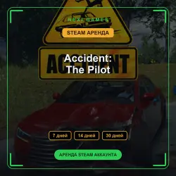 Accident: The Pilot | АРЕНДА 7/14/30 дней | STEAM аккаунт