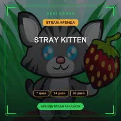 STRAY KITTEN | АРЕНДА 7/14/30 дней | STEAM аккаунт