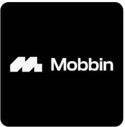 Mobbin Pro On Your Email- 3 Month Fast Delivery