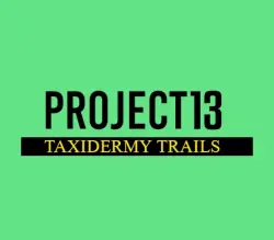 Project 13: Taxidermy Trails EU PS5 | Ключ Steam (RU/CIS/WORLD)