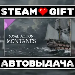 Naval Action - Montanes • Steam • Россия и другие регионы