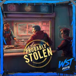 Probably Stolen • Ключ Steam (Россия, Турция и СНГ без TJ, AZ | Автовыдача API)