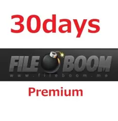 Подписка FILEBOOM Pro на 30 дней -Официальный сайт