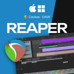 Cockos REAPER | ЛИЦЕНЗИЯ • АВТОДОСТАВКА 24/7