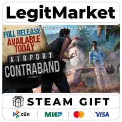 Airport Contraband / Steam АВТО / РУ + МИР