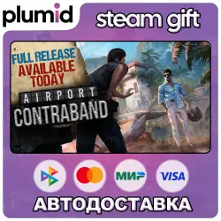 Airport Contraband Steam Gift / Россия + МИР / АВТО