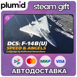 DLC DCS: F-14B(U) Speed and Angels Campaign by Reflected Simulation Steam Gift / Россия + МИР / АВТО