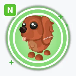 Irish Setter | Adopt Me!