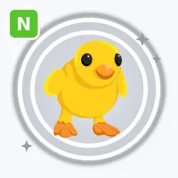 Chick | Adopt Me!