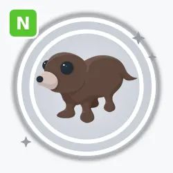 Otter | Adopt Me!