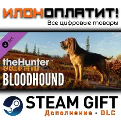 theHunter: Call of the Wild · Дополнение/DLC · Steam GIFT · Авто 24/7