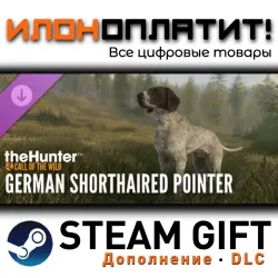 theHunter: Call of the Wild · Дополнение/DLC · Steam GIFT · Авто 24/7