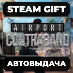 Airport Contraband Steam • РФ + МИР