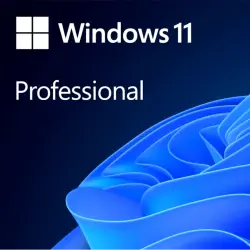 Microsoft Windows 11 Pro (Professional)