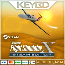 Microsoft Flight Simulator X: Steam Edition +ВЫБОР РЕГИОНА · STEAM RU · АВТО