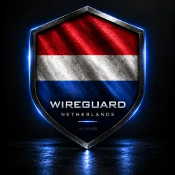 НИДЕРЛАНДЫ WIREGUARD VPN ОТ 1 МЕСЯЦА