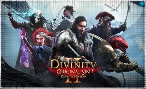 Divinity: Original Sin 2 (PS4/PS5/RU) П3 - Активация