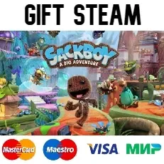 Сэкбой : Большое приключение | steam RU/UA/KZ