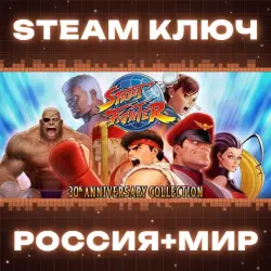 Street Fighter - 30th Anniversary КЛЮЧ