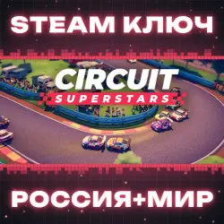 Circuit Superstars КЛЮЧ