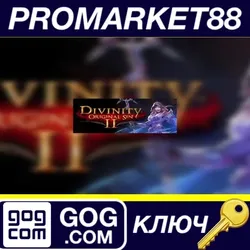 Divinity: Original Sin 2 GOG КЛЮЧ GLOBAL