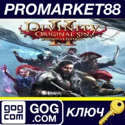 Divinity: Original Sin 2 Definitive Edition GOG КЛЮЧ