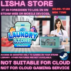SHARED OFFLINE Laundry Store Simulator