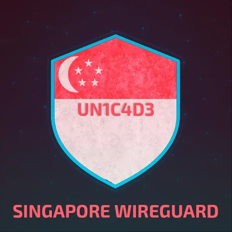 СИНГАПУР WIREGUARD VPN ОТ 1 МЕСЯЦА