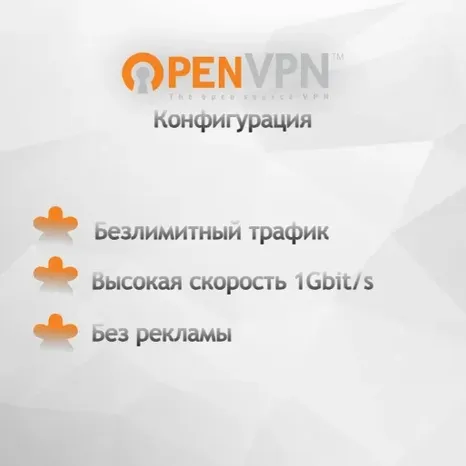 OpenVPN 3/6/12 месяцев | Нидерланды/Германия/Польша | Безлимитный